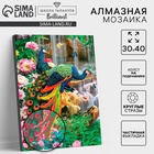Алмазная мозаика с частичным заполнением на подрамнике «Павлины», 30×40 см - Фото 1