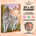 Алмазная мозаика с полным заполнением на подрамнике «Волки», 30 x 40 см - фото 9191476