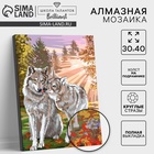 Алмазная мозаика с полным заполнением на подрамнике «Волки», 30×40 см - Фото 1