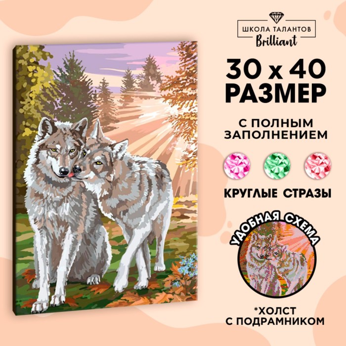 Алмазная мозаика с полным заполнением на подрамнике «Волки», 30 x 40 см - Фото 1