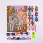 Алмазная мозаика с полным заполнением на подрамнике «Волки», 30 x 40 см - Фото 4
