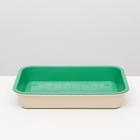 Туалет средний с сеткой 36 х 26 х 6,5 см, светло-зелёный/бежевый - Фото 2