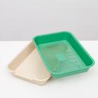 Туалет средний с сеткой 36 х 26 х 6,5 см, светло-зелёный/бежевый - Фото 4