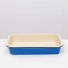 Туалет средний с сеткой 36 х 26 х 6,5 см, бежевый/тёмно-синий - Фото 3