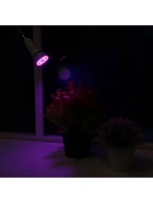 Фитолампа для растений Luazon Lighting, светодиодная, E27, 3.5 Вт, IP44, 220 В, 270°, биколорная - Фото 4