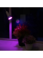 Фитолампа для растений Luazon, светодиодная, E27, 4.5 Вт, IP44, 220 В, 270°, биколорная - Фото 3