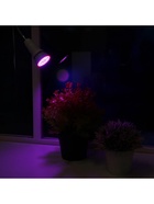 Фитолампа для растений Luazon, светодиодная, E27, 6 Вт, IP44, 220 В, 270°, биколорная - Фото 3