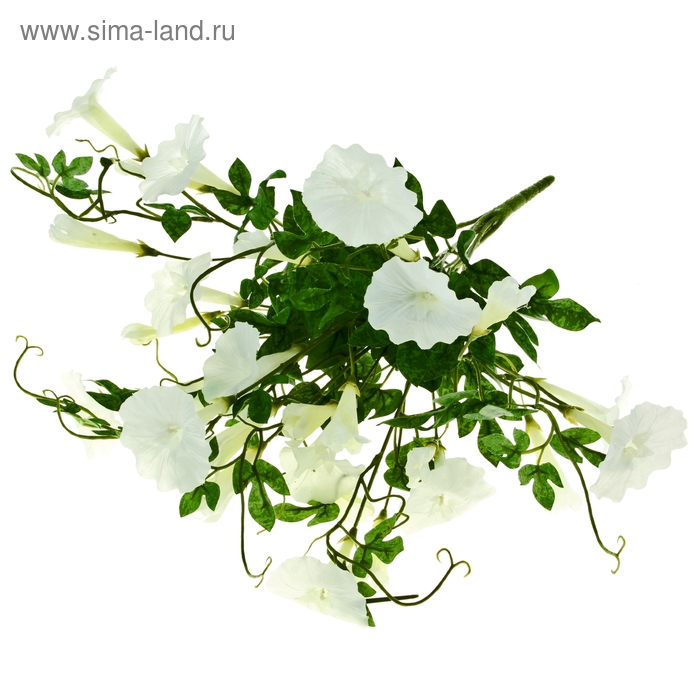 букет 50 см ипомеи - Фото 1