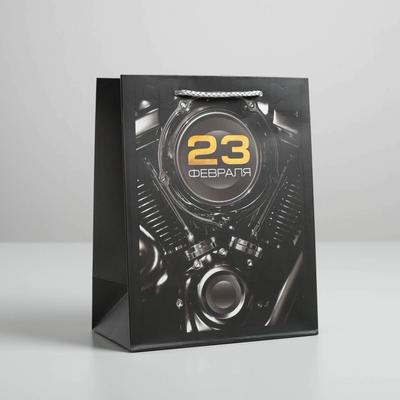 Пакет подарочный ламинированный вертикальный, упаковка, «23 февраля», MS 18 х 23 х 10 см