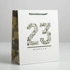 Пакет подарочный ламинированный вертикальный, упаковка, «23 февраля», ML 23 х 27 х 11,5 см - фото 318475550