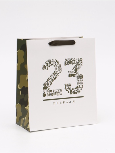 Пакет подарочный ламинированный, упаковка, «23 февраля», ML 23×27×11.5 см