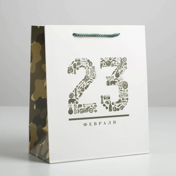 Пакет подарочный ламинированный вертикальный, упаковка, «23 февраля», ML 23 х 27 х 11,5 см - Фото 1