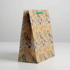 Пакет подарочный крафтовый «23 февраля», упаковка, ML 23×27×11.5 см - фото 117852338