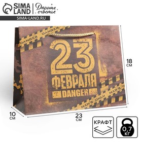 Пакет крафтовый горизонтальный «Danger», MS 23 × 18 × 10 см