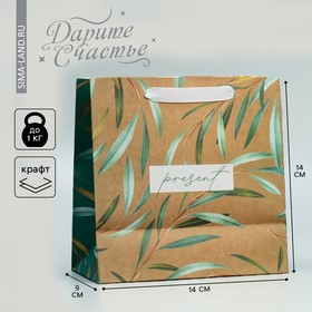 Пакет подарочный крафтовый квадратный, упаковка, «Present», 14 х 14 х 9 см