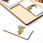 Картинки - половинки «Животные Африки», 16 деталей - Фото 5