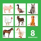 Картинки - половинки «Домашние животные», 16 деталей - Фото 3
