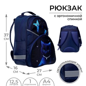 Рюкзак школьный, 37 х 26 х 13 см, эргономичная спинка, Calligrata АН "Кошечка"