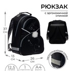 Рюкзак школьный, 37 х 26 х 13 см, эргономичная спинка, Calligrata АН "Котик" - фото 9193510