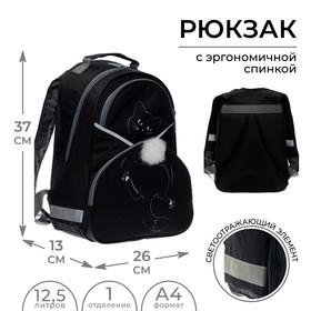 Рюкзак школьный, 37 х 26 х 13 см, эргономичная спинка, «Котик»