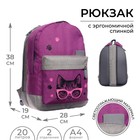 Рюкзак молодёжный, 38×28×19 см, эргономичная спинка, Calligrata Э «Кот» - Фото 1