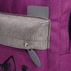 Рюкзак молодёжный, 38×28×19 см, эргономичная спинка, Calligrata Э «Кот» - Фото 14