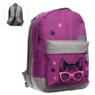 Рюкзак молодёжный, 38×28×19 см, эргономичная спинка, Calligrata Э «Кот» - Фото 8