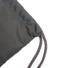 Ранец школьный Стандарт, 36 х 26 х 16 см, + мешок для обуви 40 х 32 см, Сalligrata П "Бабочки", фиолетовый - фото 25442748