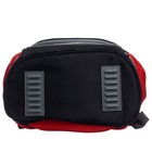 Ранец школьный Стандарт, 36 х 26 х 16 см, + мешок для обуви 40 х 32 см, Сalligrata П "Футбол" - фото 25524521