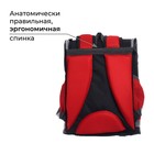 Ранец школьный Стандарт, 36 х 26 х 16 см, + мешок для обуви 40 х 32 см, Сalligrata П "Футбол" - фото 25524514