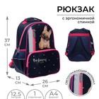 Рюкзак школьный, 37 х 26 х 13 см, эргономичная спинка, Calligrata ОРТ Funny - фото 9194156