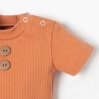 Боди Крошка Я BASIC LINE, рост 68-74 см, розовое - фото 119056168