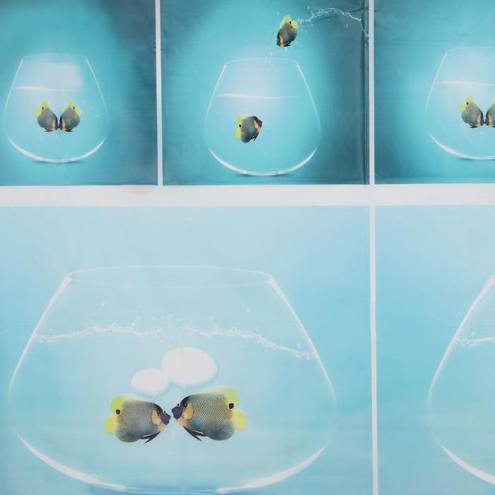 Штора для ванны Доляна «Аквариум», 180×180 см, EVA - фото 1919056227