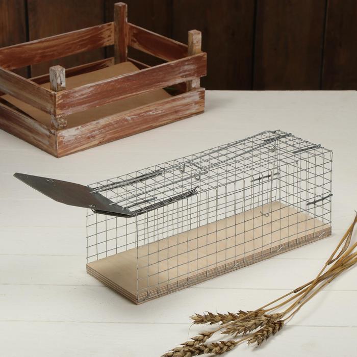 Крысоловка-ловушка (клетка), 28 × 11 × 9 см, металл - Фото 1