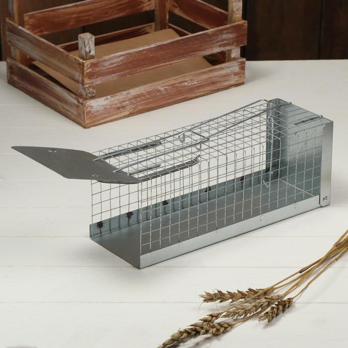 Крысоловка-ловушка (клетка), 28 × 11 × 9 см, металл - Фото 1