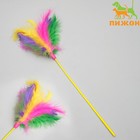 Дразнилка «Павлин», 40 см, микс цветов - Фото 1