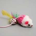 Дразнилка-удочка "Цветная мышка", 32 см, микс цветов - Фото 4