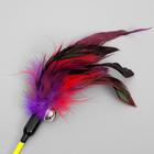 Дразнилка «Фазан» с бубенчиком, 50 см, микс цветов - Фото 2