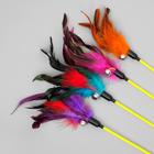 Дразнилка «Фазан» с бубенчиком, 50 см, микс цветов - Фото 3