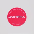 Набор для вина в кейсе Доляна «Бутылка», 5 предметов: пробка, кольцо, каплеуловитель, штопор, нож для срезания фольги - Фото 20