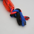 Игрушка тренировочная канатная «Зубочистка», 65 г, микс цветов - Фото 2