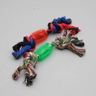 Игрушка тренировочная канатная «Зубочистка», 65 г, микс цветов - Фото 4