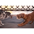 Игрушка канатная «Инь-Янь», тренировочная, до 90 г, до 50 см, цвет МИКС 769125