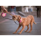 Игрушка канатная «Инь-Янь», тренировочная, до 90 г, до 50 см, цвет МИКС 769125