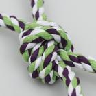 Игрушка тренировочная канатная «Качель», до 120 г, микс цветов - Фото 2