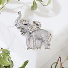 Брошь «Слон» крупный, цвет серебристый - Фото 1