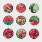 Крышка для консервирования «Элитная», ТО-89 мм, жесть, винтовая, лак, литография, фасовка 20 шт., МИКС - Фото 2