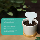 Таблички садовые, для маркировки растений, 7 см, набор 20 шт., пластик, МИКС, Greengo - Фото 3