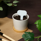 Таблички садовые, для маркировки растений, 7 см, набор 20 шт., пластик, МИКС, Greengo - Фото 6