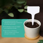 Таблички садовые, для маркировки растений, 10 см, набор 20 шт., пластик, МИКС, Greengo - Фото 3